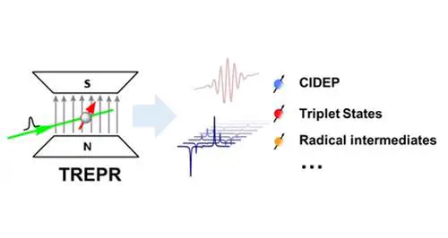 Advancements and Prospects in Continuous Wave Time-Resolved Electron Paramagnetic Resonance