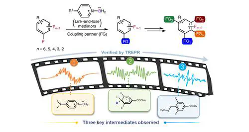 Diverse Radical C–F Functionalizations of Hexa- to Difluoroarenes Using Boryl Radicals as Link-and-Lose Mediators