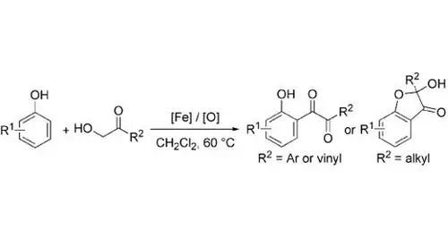 Iron‐Catalyzed ortho‐Selective Functionalization of Phenols: A Straightforward Strategy towards the 2′‐Hydroxyphenyl‐1,2‐dione Skeleton